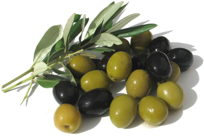 Применение оливкового масла при лечении атонии "ленивого желчного пузыря"