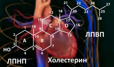 Оценка осведомленности о семейной гиперхолестеринемии среди практикующих врачей лечебно-профилактических учреждений юга России