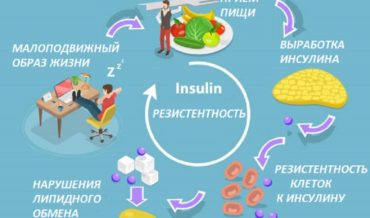 Метаболический синдром: этиология и патогенез, значение инсулинрезистентности