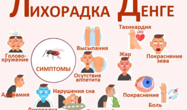 Лихорадка денге: симптомы, диагностика, лечение