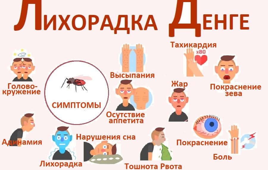 Лихорадка денге, медицинская энциклопедия Ресурсор